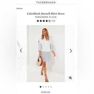 Tuckernuck Pomander Place Burnette Shirt Dress